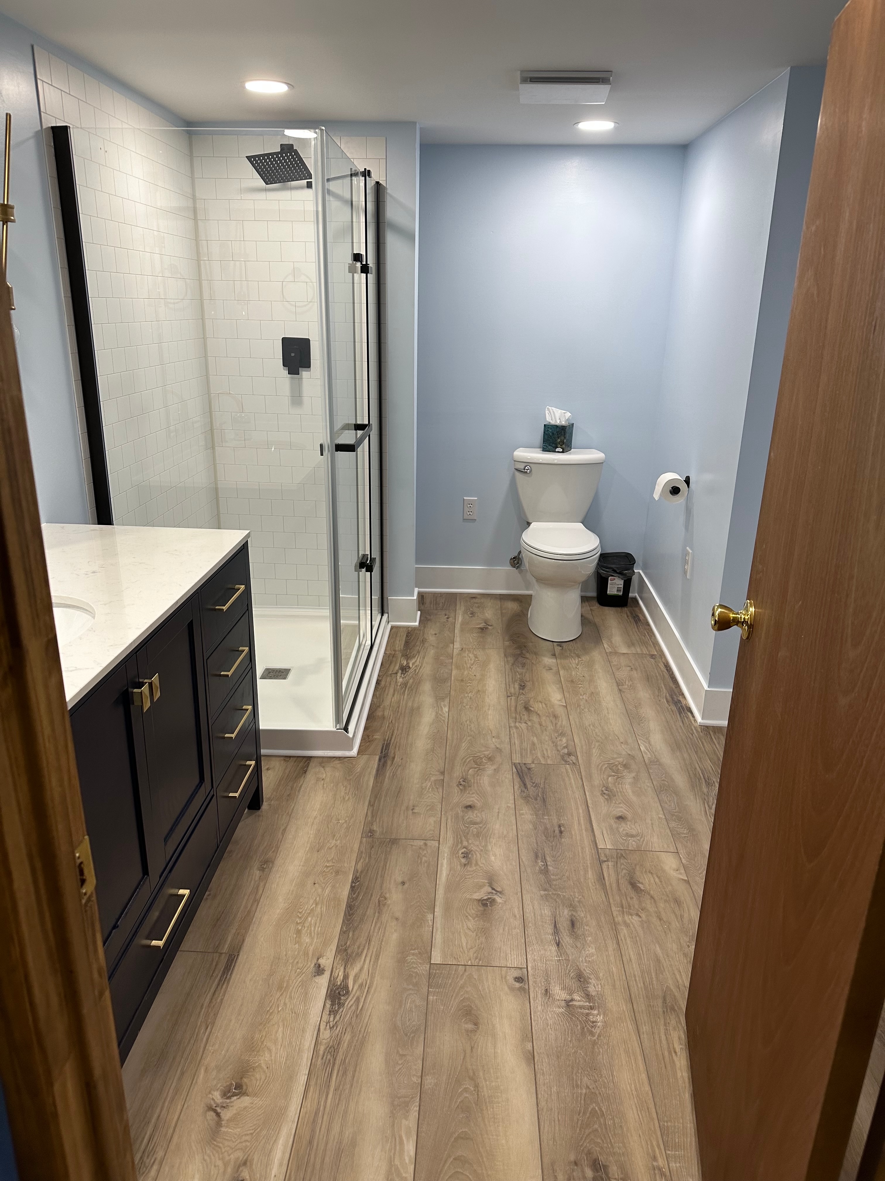 Glass shower, vanity & plank floor — finished